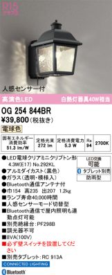 OG254844BR
