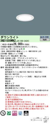 XND1009WNZLJ9