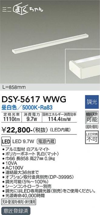 DSY-5617WWG