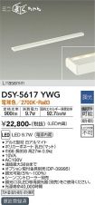 DSY-5617YWG