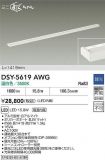 DSY-5619AWG