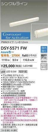 DSY-5571FW