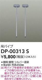 DP-00313S