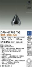 DPN-41788YG