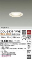 DDL-5439YWE
