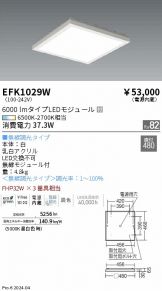 EFK1029W