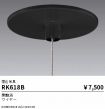 RK618B