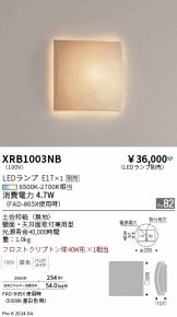 XRB1003NB