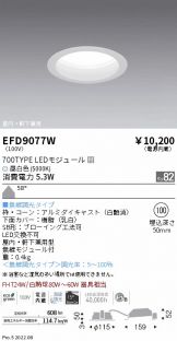 EFD9077W