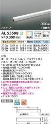AL55598