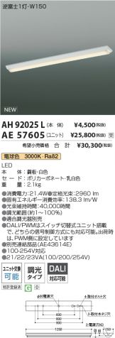 AH92025L-AE57605