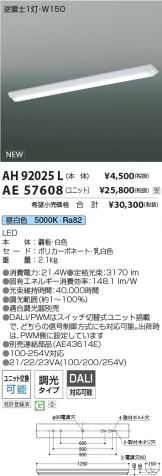 AH92025L-AE57608