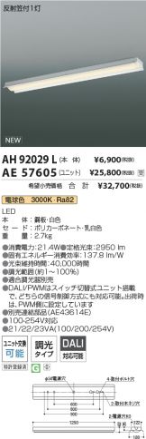 AH92029L-AE57605