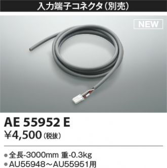 AE55952E