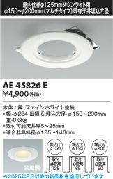 AE45826E