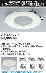 KAE45827E
