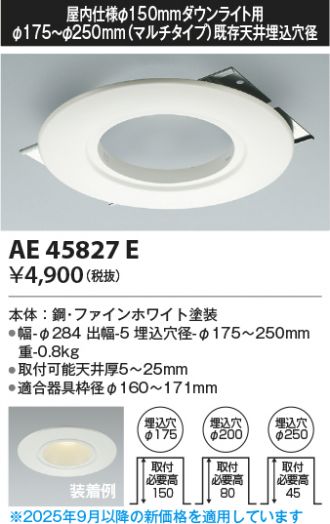 KAE45827E