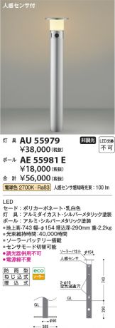 AE55981E