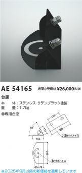 AE54165