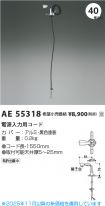 AE55318