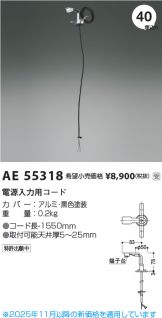 AE55318