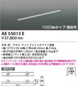 AE55013E