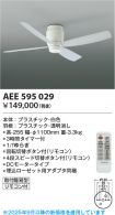 AEE595029