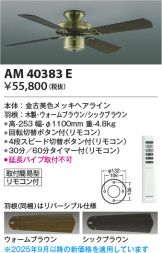 AM40383E