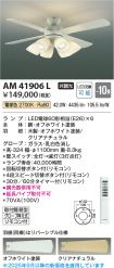 AM41906L