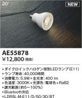 AE55878