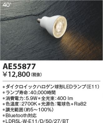 AE55877