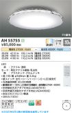 AH55755