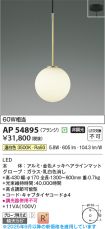 AP54895