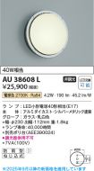 AU38608L