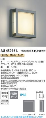 AU45916L