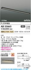 AB55865