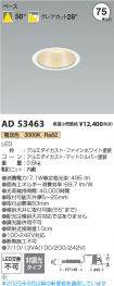 AD53463