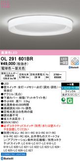 OL291601BR