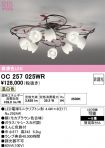 OC257025WR