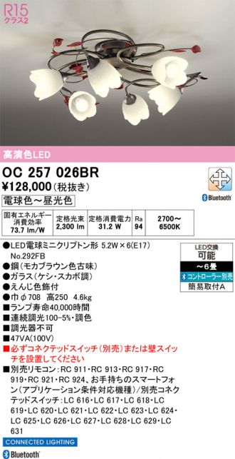 OC257026BR