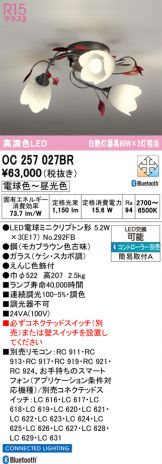 OC257027BR