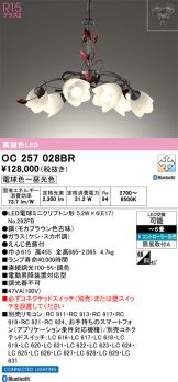 OC257028BR