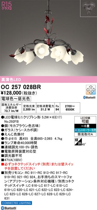 OC257028BR