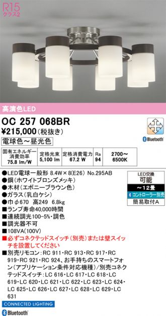 OC257068BR