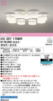 OC257170BR