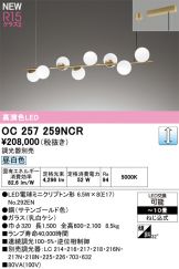 OC257259NCR