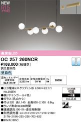 OC257260NCR