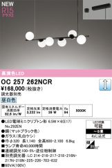OC257262NCR