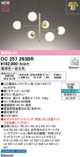 OC257263BR