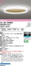 OL291609BR